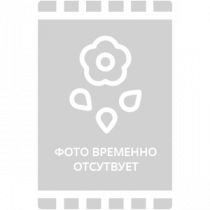 Картофель семенной Адретта (Элита), Россия, 1 кг +/- 50г